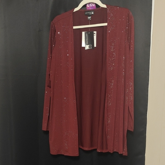 Antthony Sweaters - NWT Antthony Burgundy Sparkly Cardigan